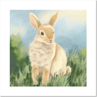 Bunny in a Meadow Posters and Art